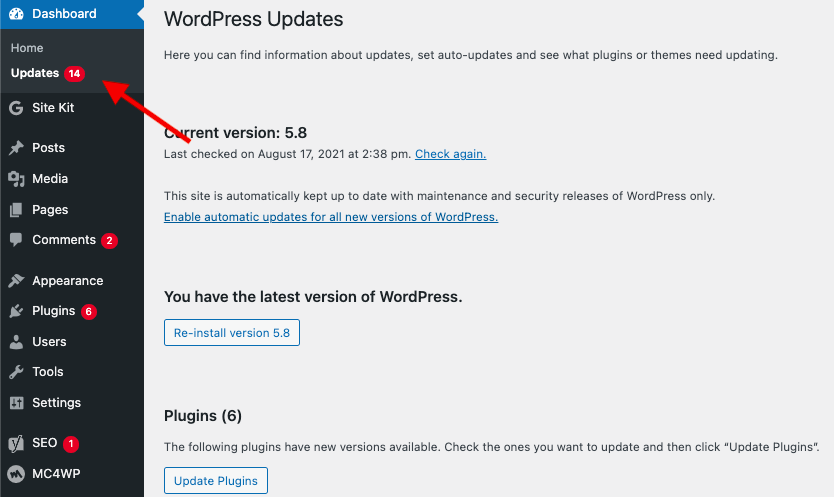 automatic updates in WordPress