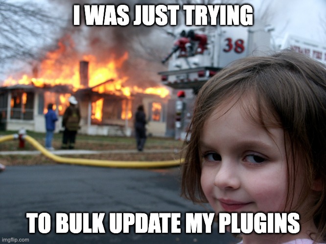 bulk update plugins