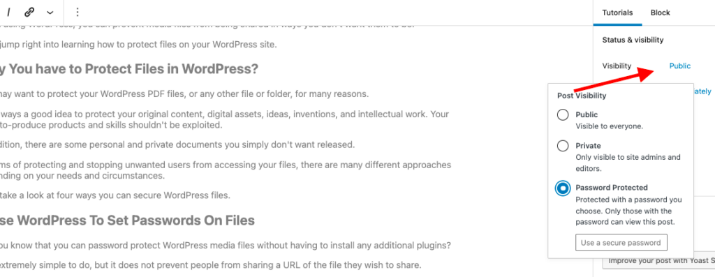 protecting a file with WordPress