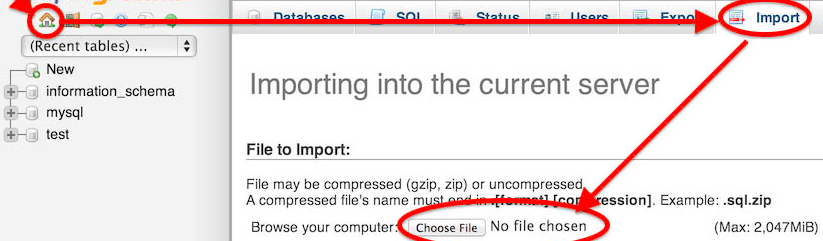 Importing files in your database