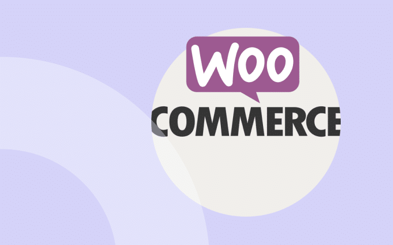 Add WooCommerce Order Notes to Completed Email - WPExplorer