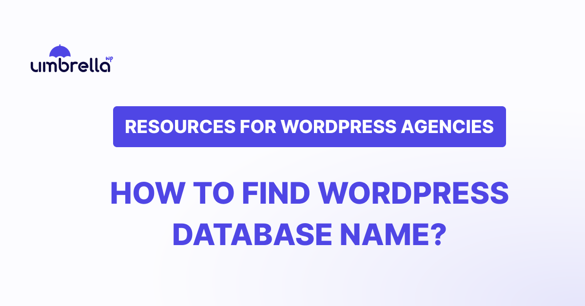 How To Find WordPress Database Name