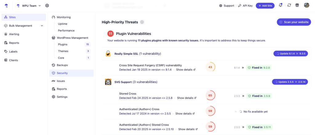 WordPress Security Issues: Plugin and Theme Vulnerabilities