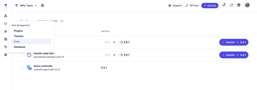 What's the Most Critical Component on a WordPress Site? - core update