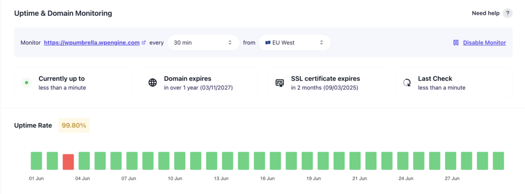 Website maintenance package-image showing uptime and domain monitoring