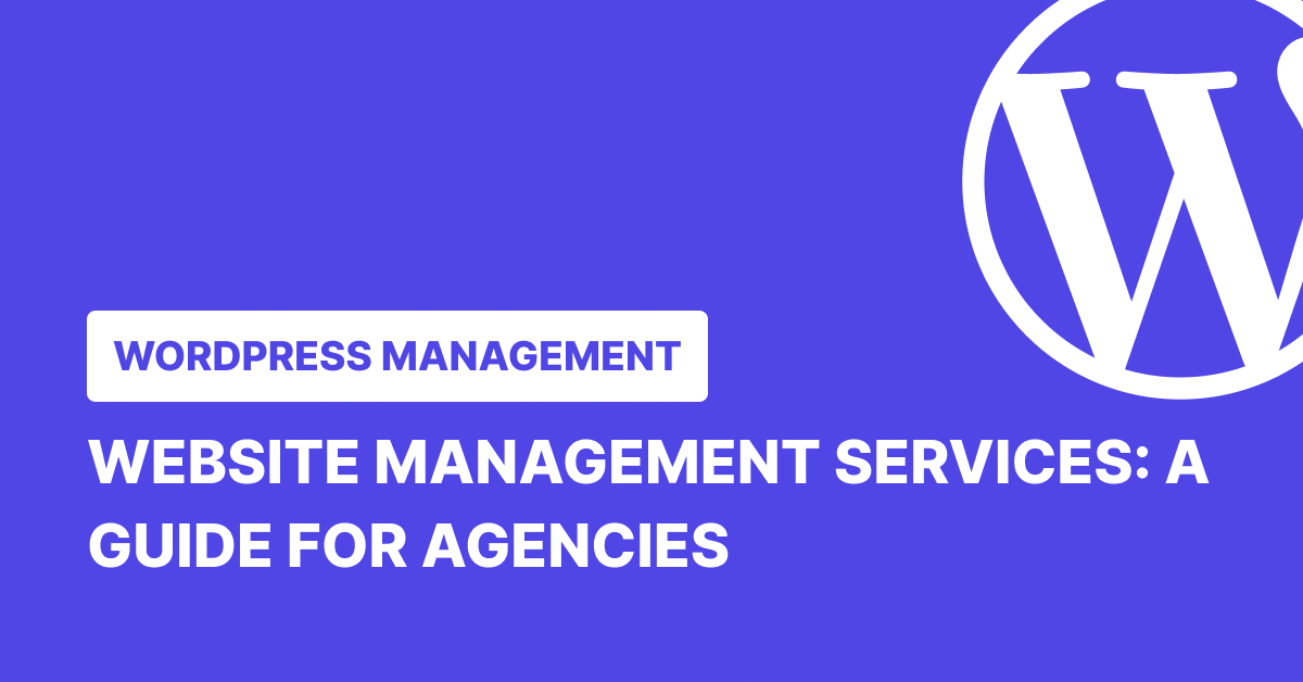 Website Management Services: A Guide for Agencies