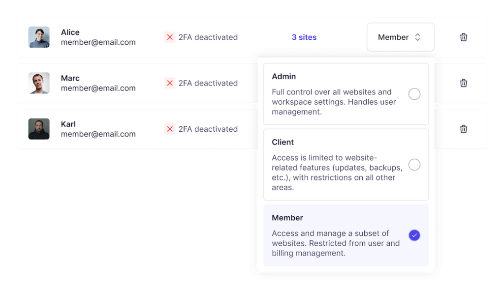 Team member access screenshot of WP Umbrella