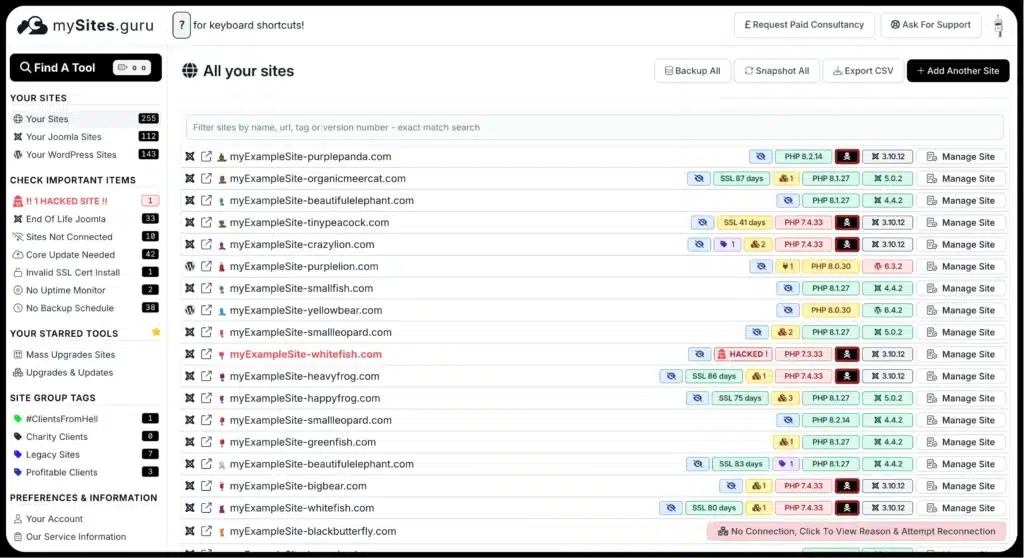 MySite.Guru dashboard